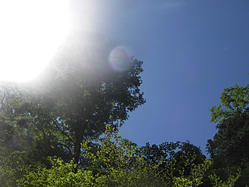 06070306.jpg