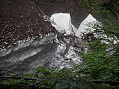 0607123.jpg