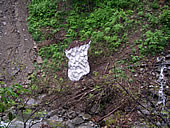 0607244.jpg