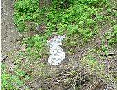 0607252.jpg