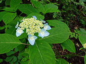 0607253.jpg