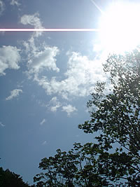 0607302.jpg