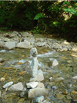 0607305.jpg