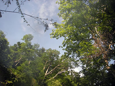 06081206.jpg