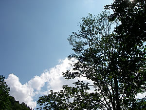06082309.jpg