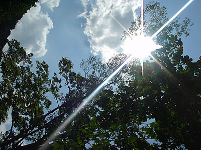 06090419.jpg