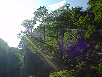 0609042.jpg