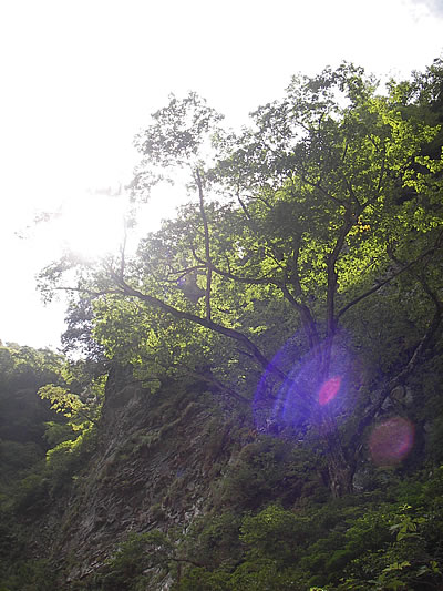0609194jpg.jpg