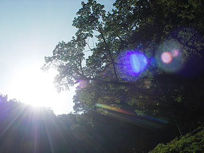 0609212.jpg