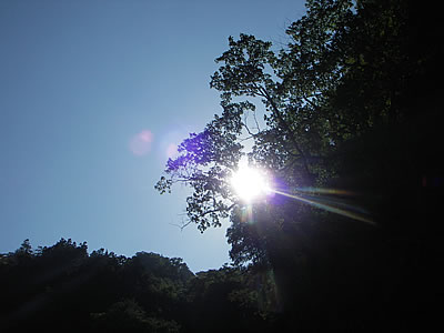 0609242.jpg