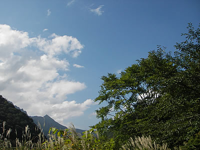 0609301.jpg