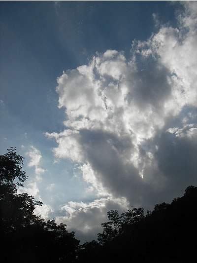 06093019.jpg