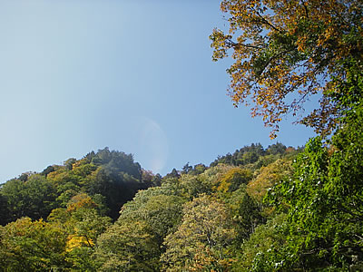 0610158.jpg