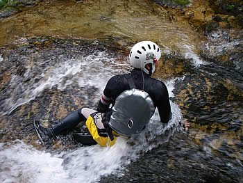 070729pmca4.jpg