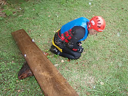 08.09.26.si.jpg