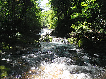 0907252.jpg