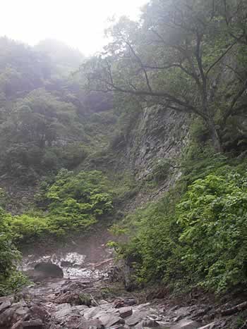 200607022.jpg