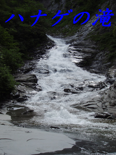 2008.06.25-1.jpg