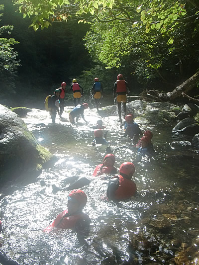 20109c121.jpg