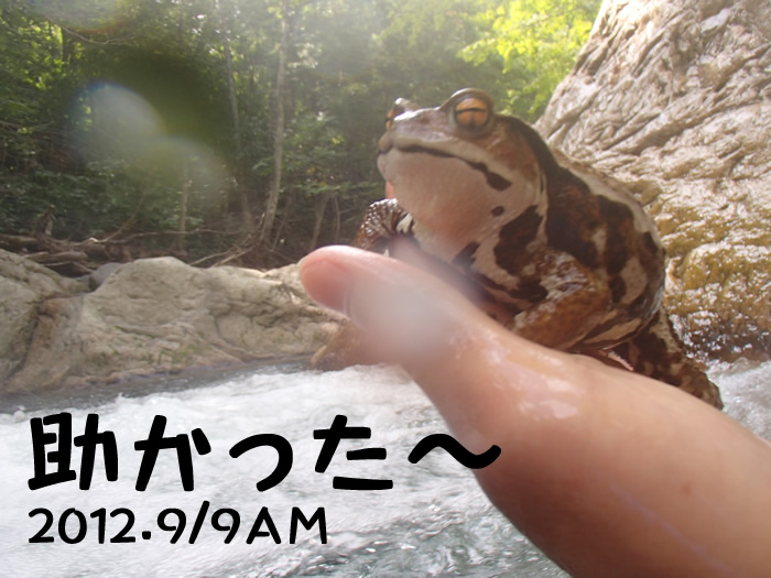 20120909ＣＡＭ1.jpg