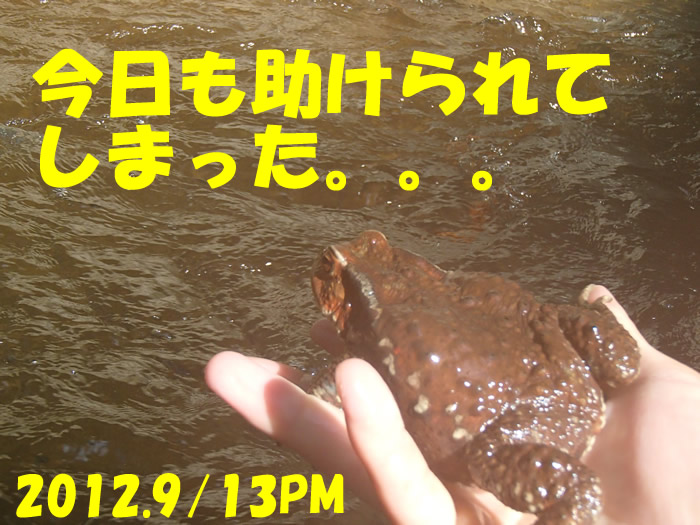 20120913ｃｐｍ１.jpg
