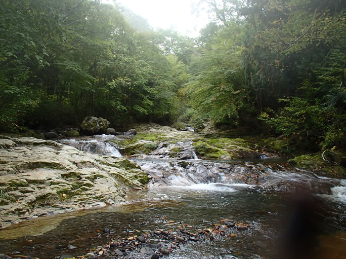 20121006k1.jpg