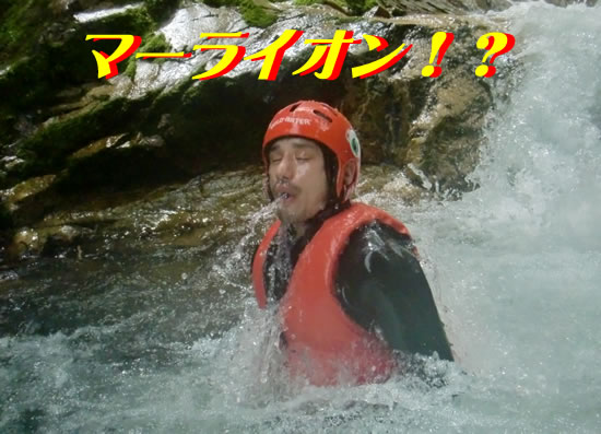 2012716.1.jpg