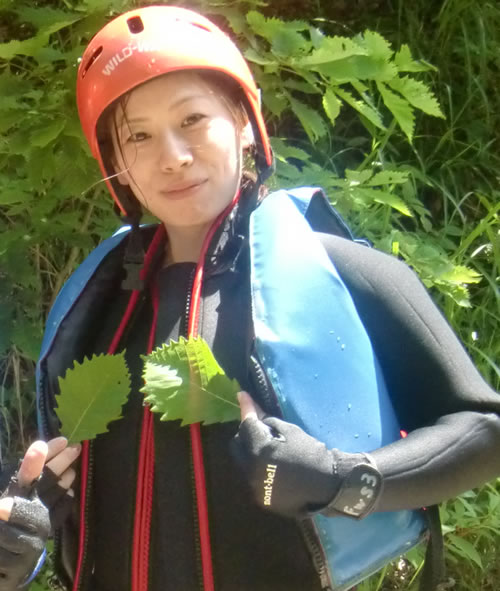 2012728.1.jpg