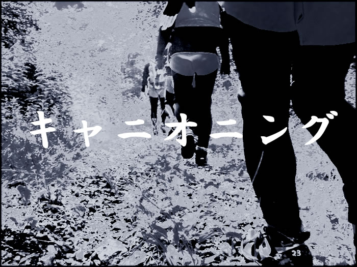 2012731.1.jpg