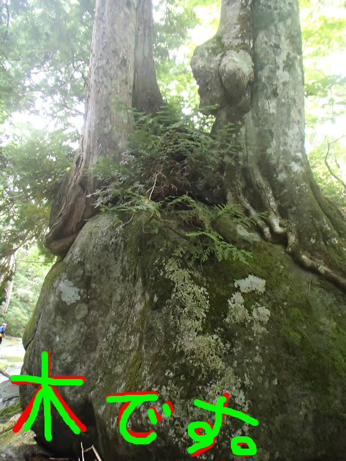 20130817PMkyatttt.jpg