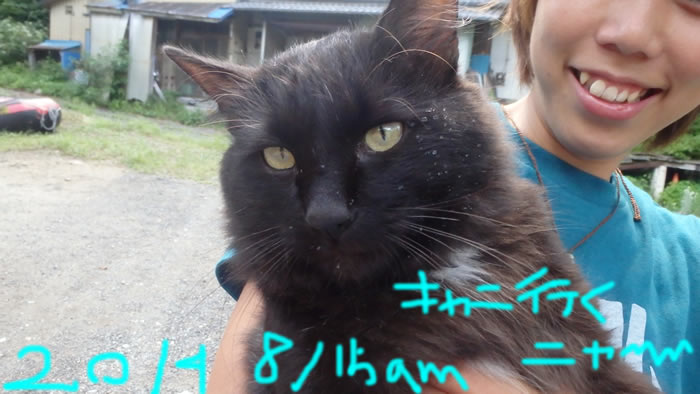 20140815a1.jpg
