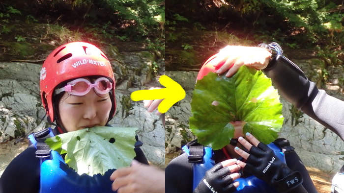 20140822am01.jpg