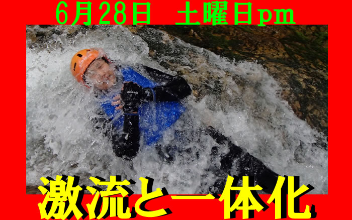2014628.C1.jpg