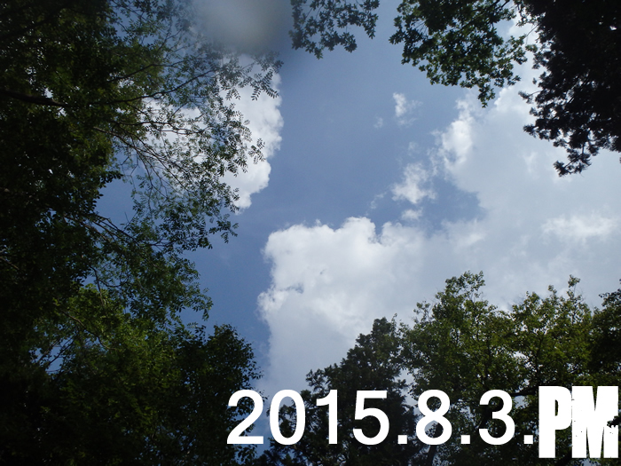 2015.8.3.PM1.jpg