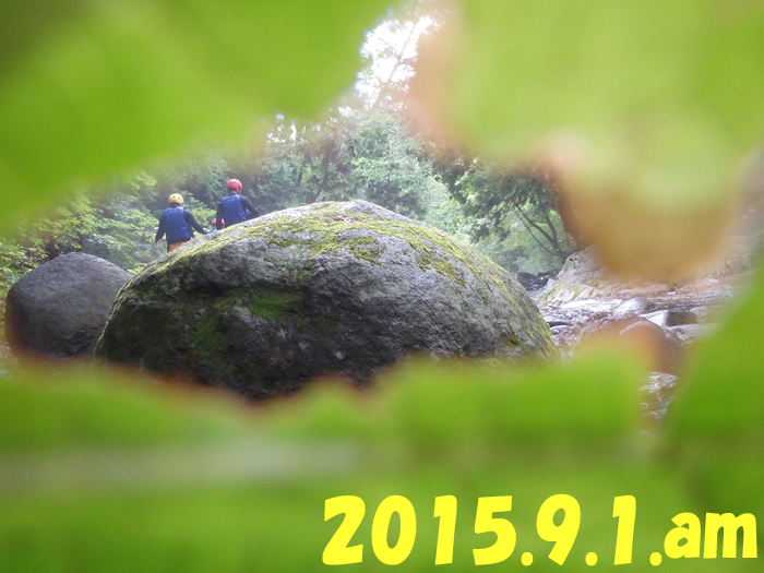 2015.9.1..jpg