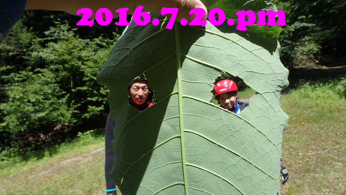 2016.7.20.pm.jpg