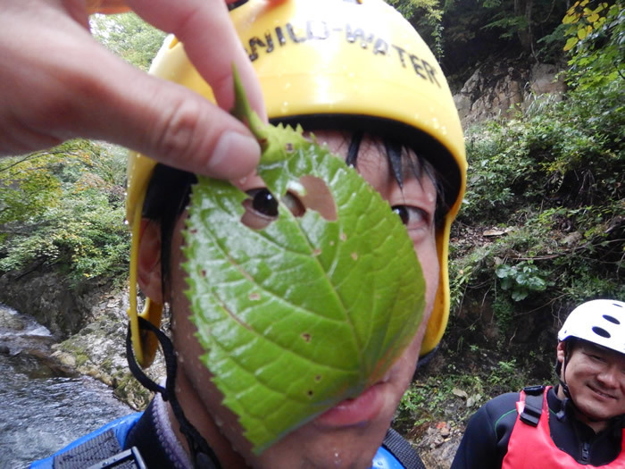 20180926AM01.jpg