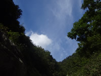 [CANY 07.10.04ハナゲ]p023.JPG