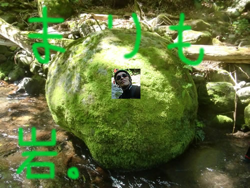 8.28a1.jpg