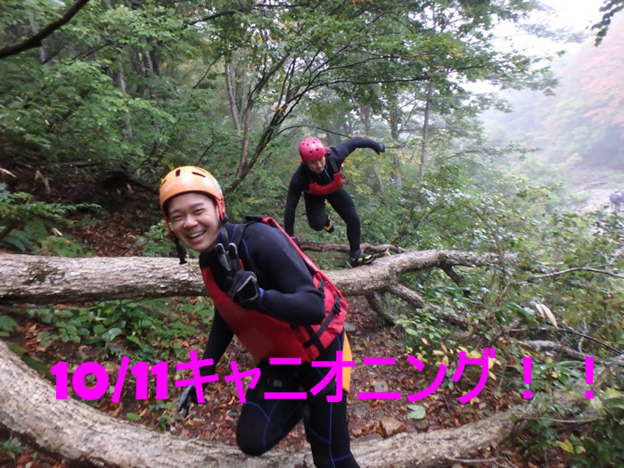 ｃ20151011am1.jpg
