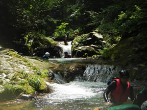 IMG366.jpg
