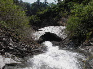 IMGP7112.jpg