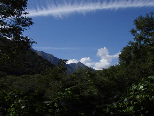 P9220002.jpg