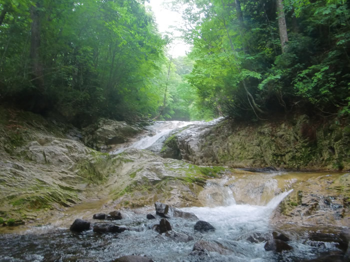 ca20120701pm1.jpg