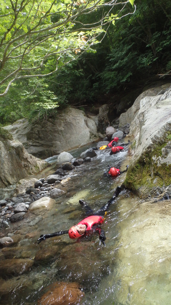 ca20140821am1.jpg