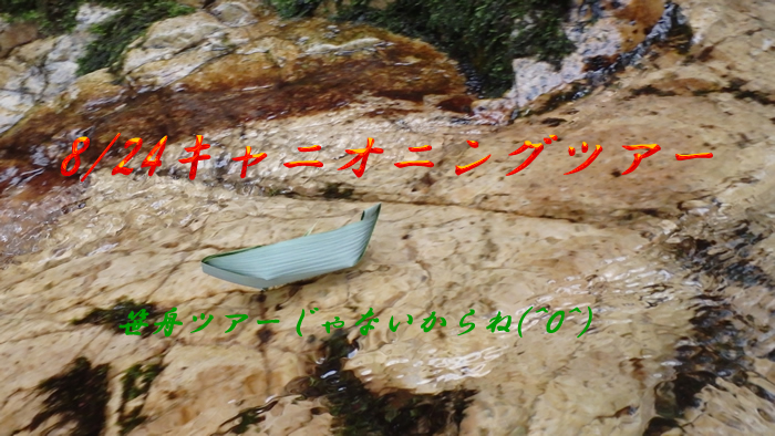 ca20140824am1.jpg