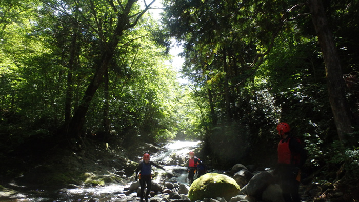 ca20140906am1.jpg