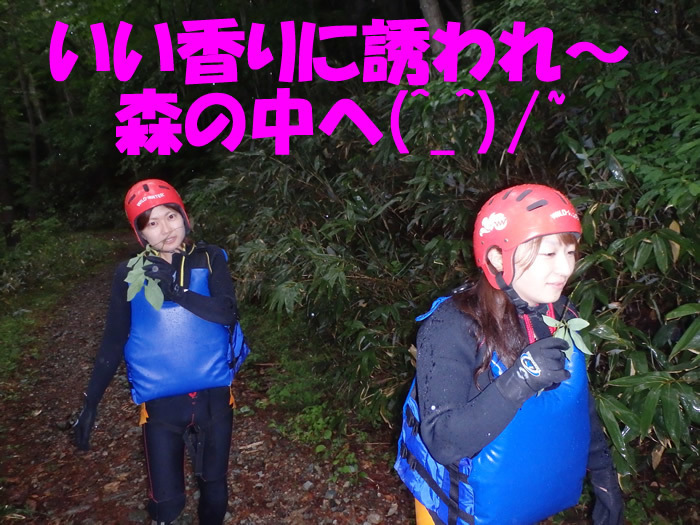 ca20150619am1.jpg