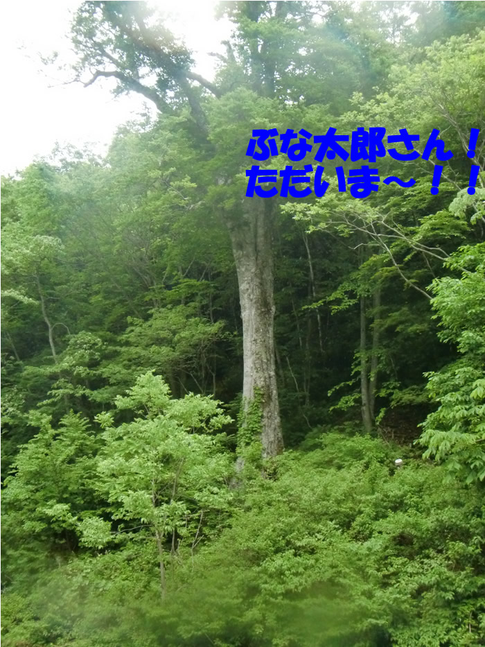 can201306121.jpg