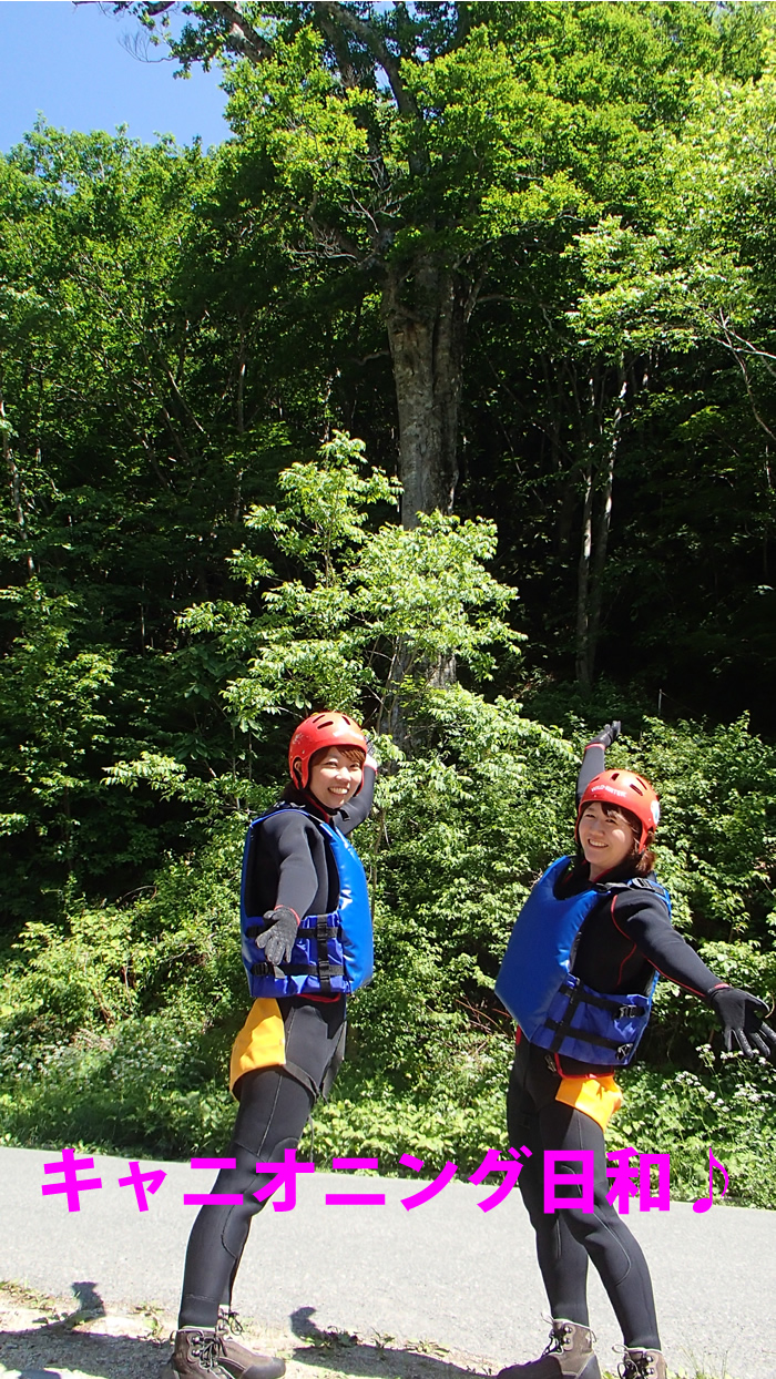 can20140615am1.jpg
